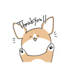 たぶんコーギー（個別スタンプ：7）