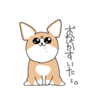 たぶんコーギー（個別スタンプ：9）