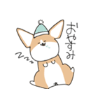 たぶんコーギー（個別スタンプ：11）