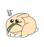 たぶんコーギー（個別スタンプ：12）