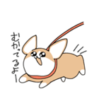 たぶんコーギー（個別スタンプ：13）