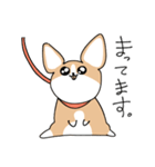 たぶんコーギー（個別スタンプ：14）