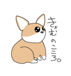 たぶんコーギー（個別スタンプ：15）