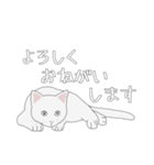 くせねこ（個別スタンプ：9）