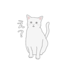 くせねこ（個別スタンプ：13）