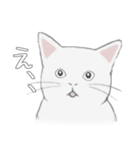 くせねこ（個別スタンプ：14）