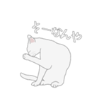 くせねこ（個別スタンプ：19）