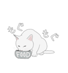 くせねこ（個別スタンプ：22）