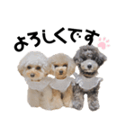 ぽこもことこ♡（個別スタンプ：3）