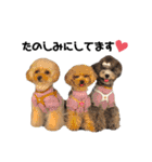 ぽこもことこ♡（個別スタンプ：4）