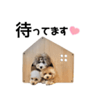 ぽこもことこ♡（個別スタンプ：18）