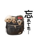 ぽこもことこ♡（個別スタンプ：19）