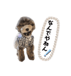 ぽこもことこ♡（個別スタンプ：24）