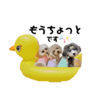ぽこもことこ♡（個別スタンプ：31）