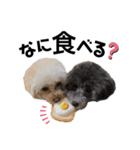 ぽこもことこ♡（個別スタンプ：38）