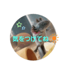 みんなと一緒✨（個別スタンプ：2）