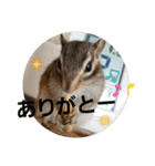 みんなと一緒✨（個別スタンプ：6）