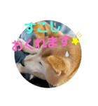 みんなと一緒✨（個別スタンプ：7）