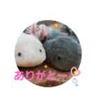 みんなと一緒✨（個別スタンプ：9）
