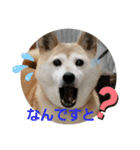 みんなと一緒✨（個別スタンプ：14）