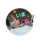 みんなと一緒✨（個別スタンプ：16）