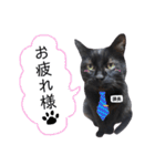 黒猫トムチ4（個別スタンプ：2）