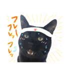 黒猫トムチ4（個別スタンプ：6）