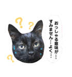 黒猫トムチ4（個別スタンプ：8）