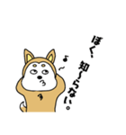 柴丸柴男（個別スタンプ：1）