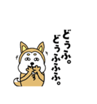 柴丸柴男（個別スタンプ：3）