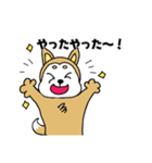 柴丸柴男（個別スタンプ：5）