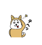 柴丸柴男（個別スタンプ：8）