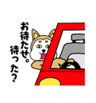 柴丸柴男（個別スタンプ：9）