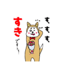 柴丸柴男（個別スタンプ：12）