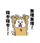 柴丸柴男（個別スタンプ：17）