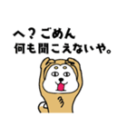 柴丸柴男（個別スタンプ：19）