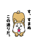 柴丸柴男（個別スタンプ：20）