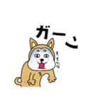 柴丸柴男（個別スタンプ：23）