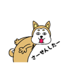柴丸柴男（個別スタンプ：24）