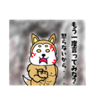 柴丸柴男（個別スタンプ：25）