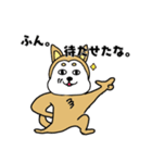 柴丸柴男（個別スタンプ：26）