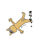 柴丸柴男（個別スタンプ：28）