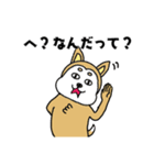 柴丸柴男（個別スタンプ：30）