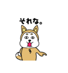柴丸柴男（個別スタンプ：31）