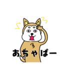 柴丸柴男（個別スタンプ：34）
