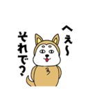 柴丸柴男（個別スタンプ：38）