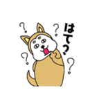 柴丸柴男（個別スタンプ：39）