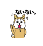 柴丸柴男（個別スタンプ：40）