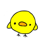 ぴよこのちょっとうざいスタンプ（個別スタンプ：4）