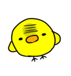 ぴよこのちょっとうざいスタンプ（個別スタンプ：10）